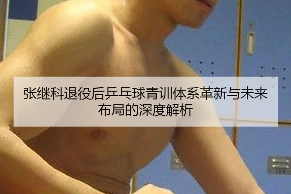 张继科退役后乒乓球青训体系革新与未来布局的深度解析